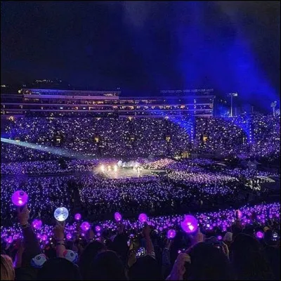 En 2014, les BTS ont tenu leur première tournée de concerts. Mais dans quel pays ne sont-ils pas aller ?