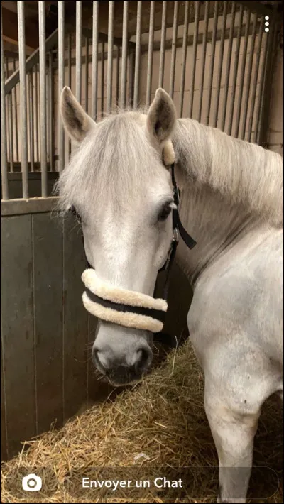 Troisième astuce, on a tous déjà oublié nos chaps un jour...On peut les remplacer par des bandes de repos ou des bandes de transport. Cette astuce marche-t-elle ?