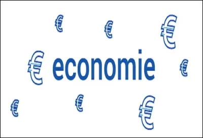 Quel nom donne-t-on au phénomène économique qui se traduit par une dépréciation de la monnaie combinée à une hausse générale des prix ?