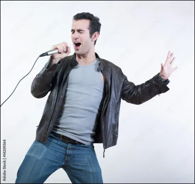 Quels chanteurs n'ont pas chanté pour Pokémon ?