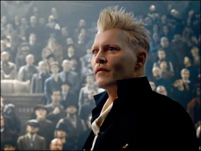 Qui est Grindelwald ?