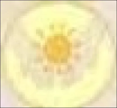 Quel est ce talent ?