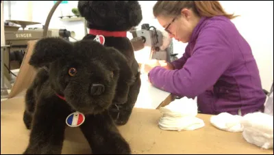 Bien sûr que c'est un chien, ça se voit bien !