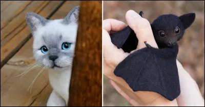 Et que pensez-vous de ces deux-là ?