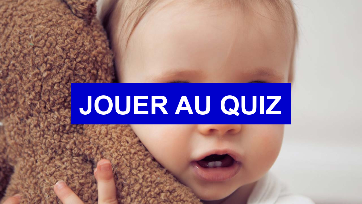 Quiz Animaux
