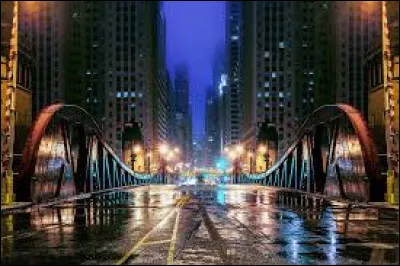 Qui n'a pas chanté le titre "Le monde est stone" ?