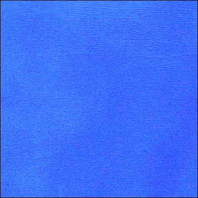 Quel peintre adepte des monochromes s�est particuli&egrave;rement concentr&eacute; sur la couleur bleue ?