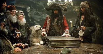 Qui a été élu Roi des pirates par le Tribunal de la Confrérie ?