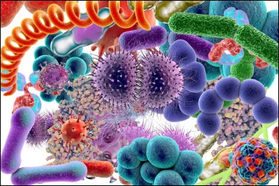 Est-ce que la STB est une maladie contagieuse ?