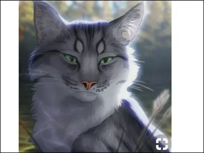 Qui est son meilleur ami ?