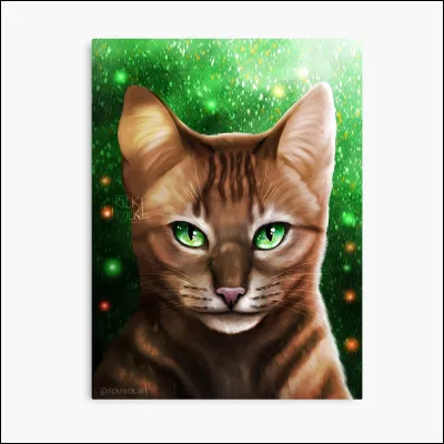 Étoile de Feu a-t-il des enfants ?