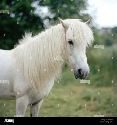 Quelle est cette robe ?