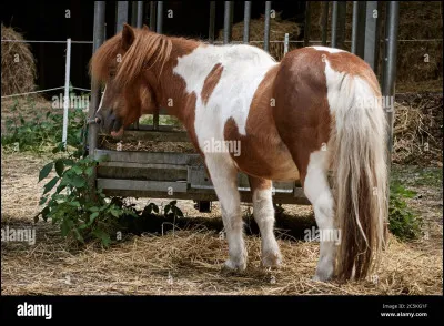 Quelle est cette différence ?