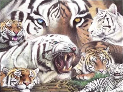 Ainsi, des artistes peuvent disposer de toutes les nuances possibles. Vrai ou faux ?