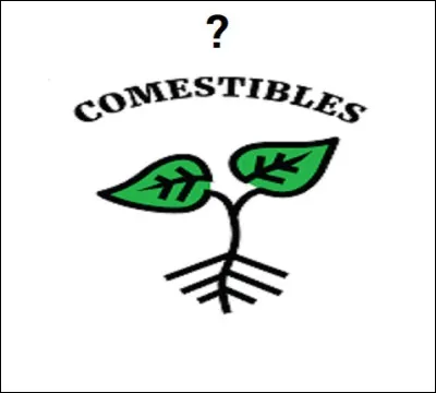 Les glands sont-ils comestibles une fois cuits ?