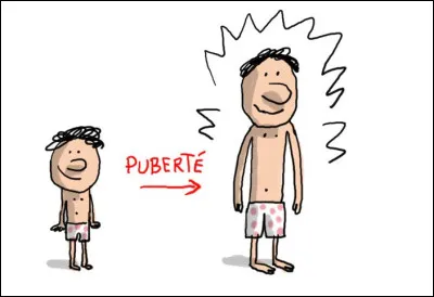 Quel gland tombe à la puberté ? (C'est une blague)