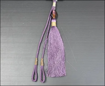 Dans quel domaine trouve-t-on plus particulièrement ce type de gland ?