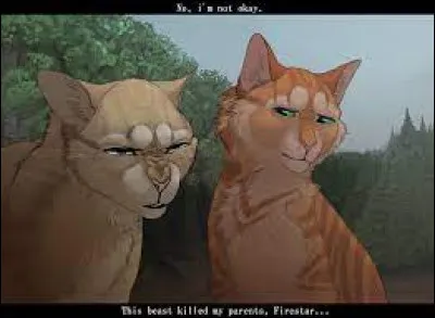 Tu t'entends très bien avec Tornade de Feu et tout le clan semble l'apprécier ! Un jour, tu veux lui faire une farce et tu lui dis que tu l'aimes. Il/Elle te répond que lui/qu'elle aussi ! Tornade de Feu remarque vite ton air choqué et te demande ce qui ne va pas.