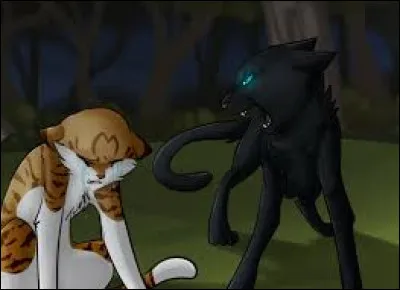 Depuis cet "incident", Tornade de Feu t'évite et passe son temps auprès de Pelage Scintillant.