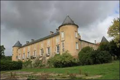 Je vous emmène dans le Grand-Est à la découverte du château de Ville-au-Val. Village de l'aire d'attraction Nancéenne, il se situe dans le département ...