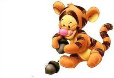 Quel est le nom du tigre ?