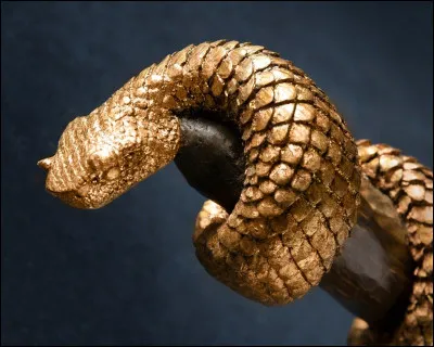 Comment dit-on ''serpent'' (pensez à Serpentard) ?