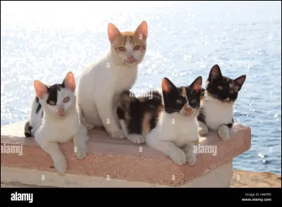 Ton fils devient guerrier. Comment s'appelle-t-il ?