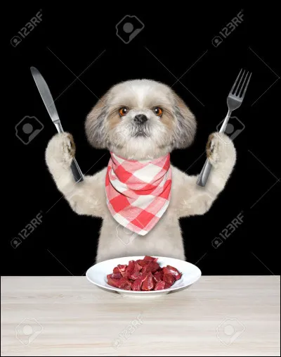 Que leur donnes-tu &agrave; manger ?