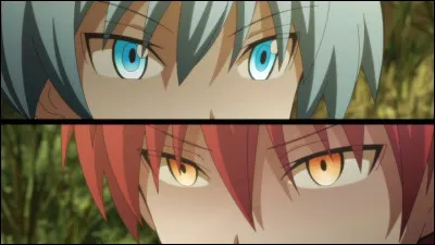 À qui appartiennent ces yeux ?