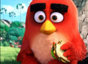 Quiz Angry Birds : les personnages