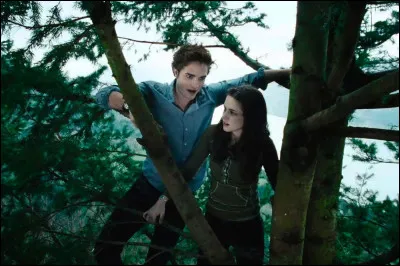 À quel film cette image appartient-elle ?