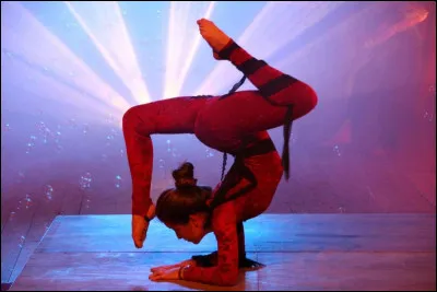 OK ! Maintenant, un petit vrai ou faux sur la contorsion !
Les contorsionnistes sont souvent atteints du syndrome d'Ehlers
Danlos.