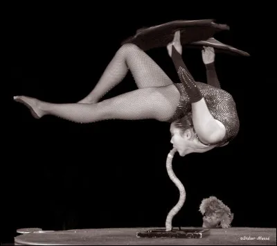 Il existe 7 types de spectacles de contorsion. Lequel nen fait pas partie ? (Ou fait partie dun grand thème)