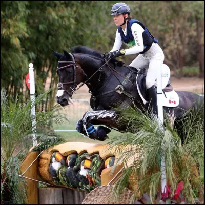 Quelle est cette discipline ?