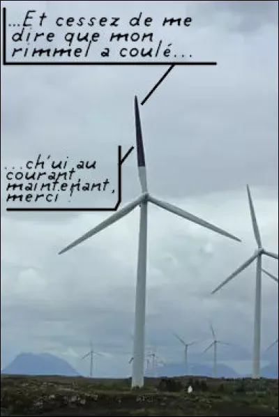 Vous pourrez remarquer que, parfois, l'une des pales est peinte en noir : pourquoi ?