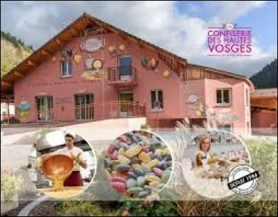 Maintenant vous allez en prendre plein les narines en visitant la Confiserie Des Hautes Vosges (CDHV), à Plainfaing. Commune du parc naturel régional des Ballons des Vosges, au pied du col du Bonhomme, elle se situe dans le département ...