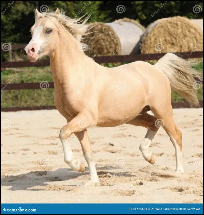 Clique sur l'information qui te semble correcte.