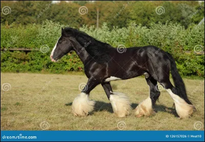 Clique sur l'information qui te semble fausse.