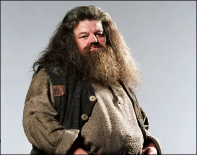 Rubeus Hagrid est le "gardien des clés et des lieux".