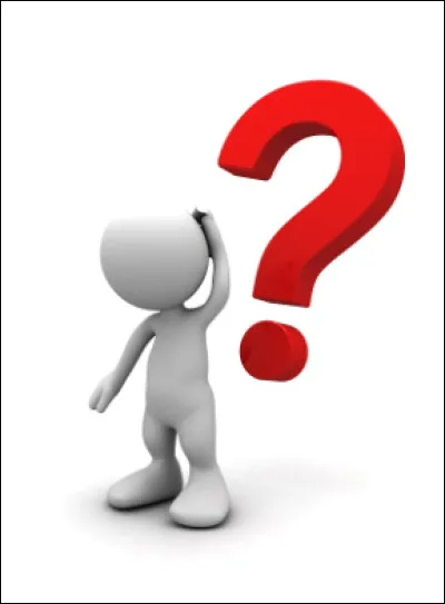 L'animal représenté sur la maison Poufsouffle est un raton laveur.