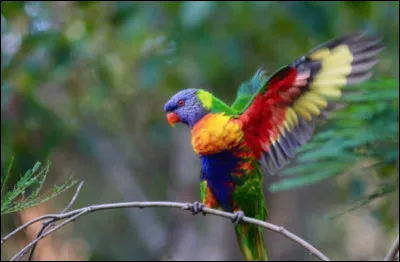 Gamète femelle, correspondant, dans le règne végétal, à l'ovule des animaux !