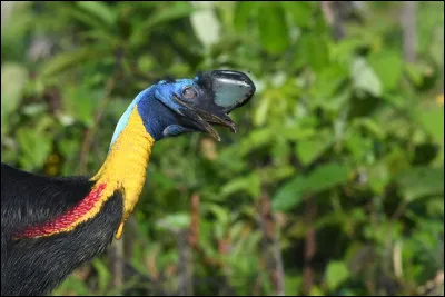 Edification des chaînes de montagnes !