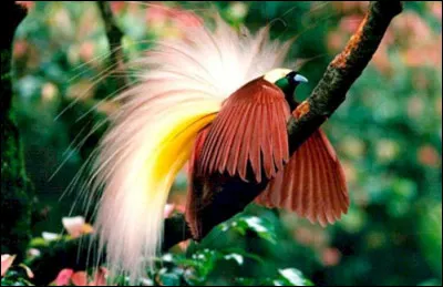 Courte prière lithurgique !