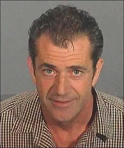 Pour quelle raison Mel Gibson s'est-il retrouv en prison ?