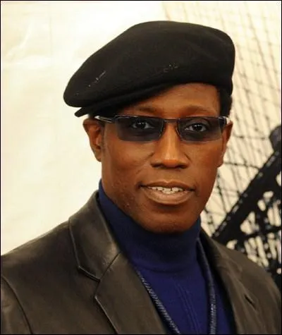 Pour quelle raison Wesley Snipes s'est-il retrouv en prison ?