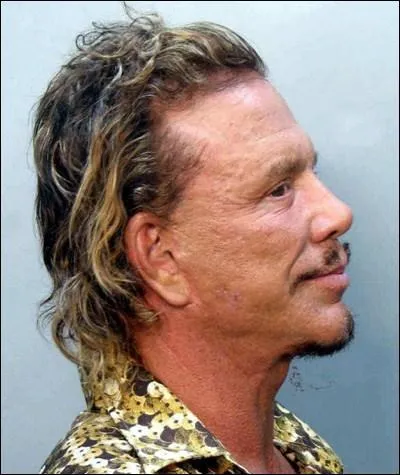 Pour quelle raison Mickey Rourke s'est-il retrouv en prison ?
