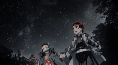 Es-tu une fille ou un garçon ?