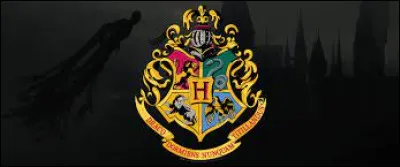 Dans quelle maison voudrais-tu être ?