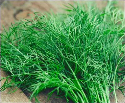 Quel est cet aromate ?