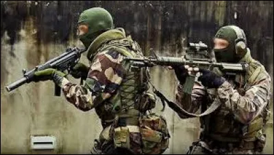 Que signifie le sigle "1er RPIMa" ?